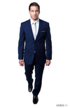 Navy Blue  Slim Fit 2-PC Suits