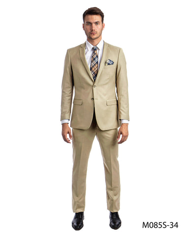 Tan Slim Fit 2-PC Suits