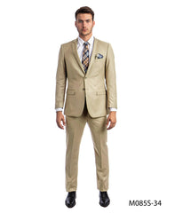 Tan Slim Fit 2-PC Suits
