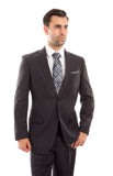 Gray Solid 2-PC Regular Modern Fit Suits