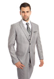 Lt. Gray Solid Shiny Sharkskin 3-PC Regular Modern Fit Suits